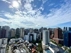 Scotts Square (D9), Apartment #592003741